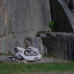 'The Remains of a Young Slain Mountain Troll' by  Patrik Bengtsson on Uddenskulptur Hunnebostrand, Sweden