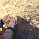 uddenskulptur-2018_installation-0503_05_30_pm.jpg on Uddenskulptur Hunnebostrand, Sweden