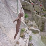 installing_artwork_uddenskulptur_2016_20_juni_6.jpg on Uddenskulptur Hunnebostrand, Sweden