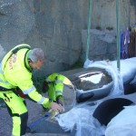 p1120243.jpg on Uddenskulptur Hunnebostrand, Sweden