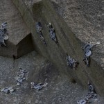 Symbiosis by Hannah Streefkerk (SE) <h4>Symbiosis</h4> <p>by Hannah Streefkerk (SE)</p>