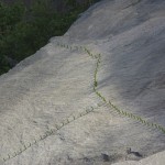 Points to the Past by Martha Quinn (IE) <h4>Points to the Past</h4> <p>by Martha Quinn (IE)</p>