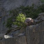 Rymdpollen by Ulf Johnsson (SE) <h4>Rymdpollen</h4> <p>by Ulf Johnsson (SE)</p>