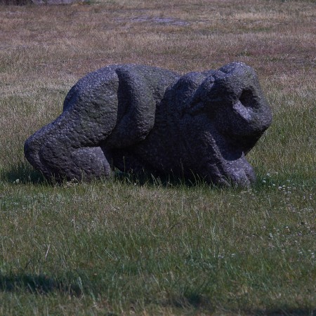 Månedyr by Claus Ørntoft