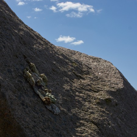 Traces by Hannah Streefkerk