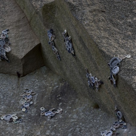 Symbiosis by Hannah Streefkerk