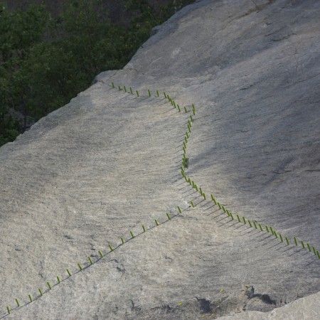 Points to the Past by  Martha Quinn