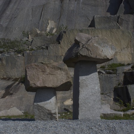 Svampar by Per Agelii