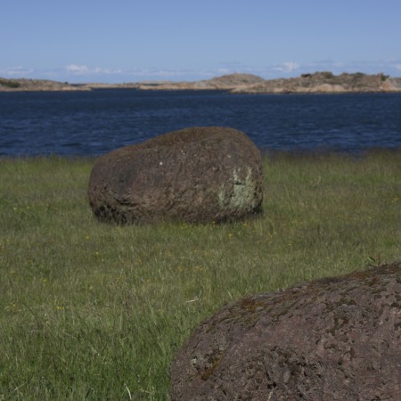 Lebensringe by  Stefan Sprenker