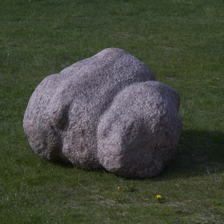 Dierlijke vorm by Jo Peters