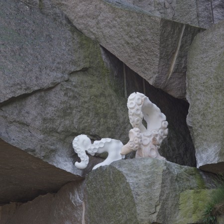 Kraken Portugal  by Pontus Ersbacken